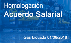 Homologación Acuerdo Salarial Gas Licuado